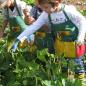 Preview: Gartenschürze für Kinder