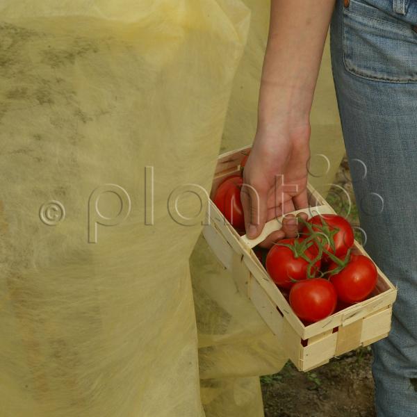 Bio Tomaten-Reifevlies "planto pro"